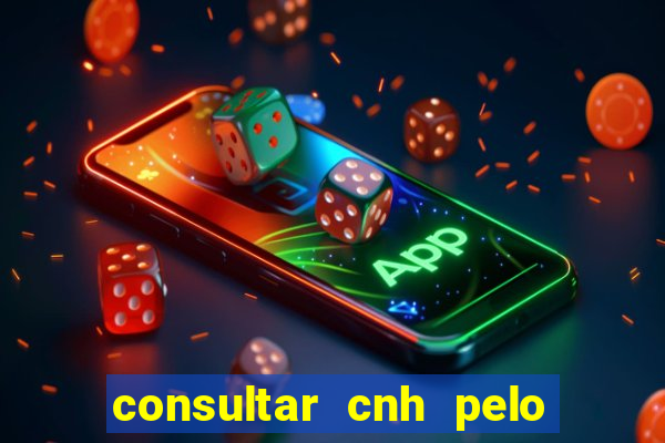 consultar cnh pelo cpf sp